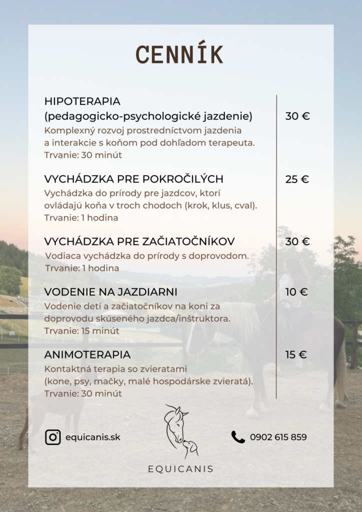 brown simple price list beauty & spa poster